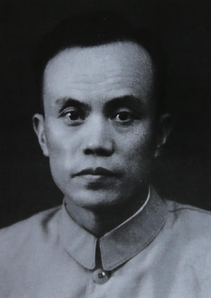 刘子义——陕西省高级人民法院原院长（佳县）