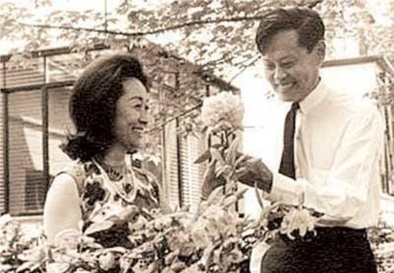 1966年与杨在普林斯顿住宅院中