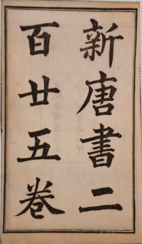 唐書二百廿五卷